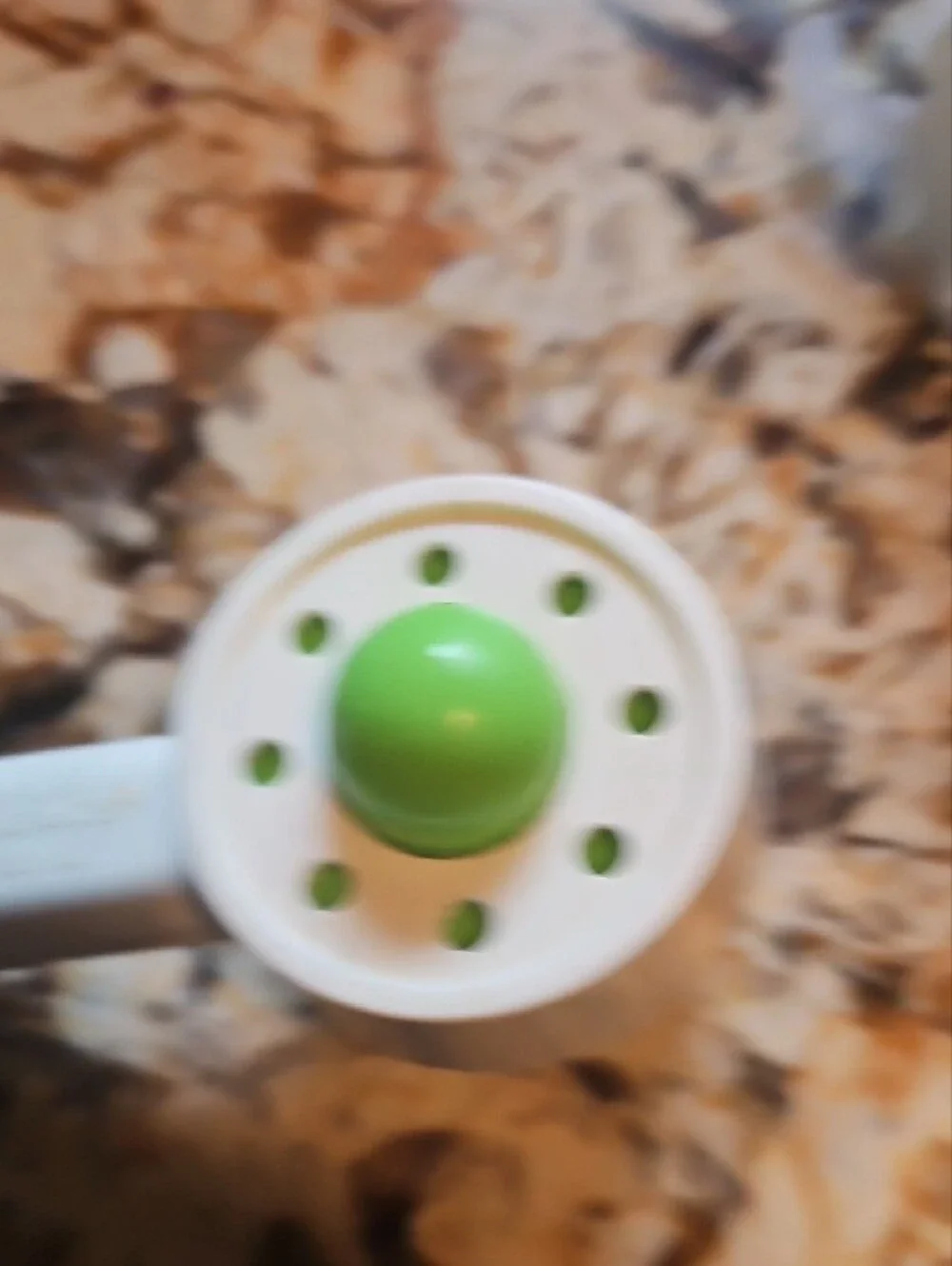 Hear 'N' See Kids Learning Push-Button Toy - White and Green